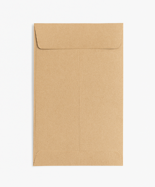 100-Pack Self-Adhesive Kraft Paper Envelopes